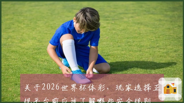 关于2026世界杯体彩,玩家选择正规平台前应该了解哪些安全规则